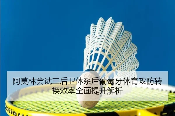 阿莫林尝试三后卫体系后葡萄牙体育攻防转换效率全面提升解析